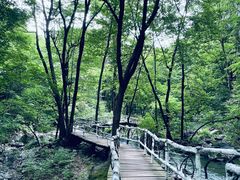 -香炉山国家森林公园