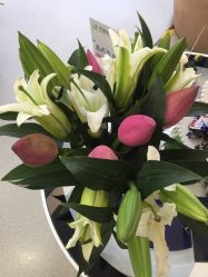 -联合丽格·张菡丽格医疗美容