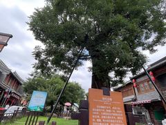 -青州古城