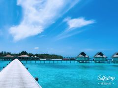 -中央格兰德岛温泉度假酒店 - 全包