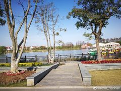 -上海长兴岛郊野公园