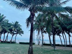 -深圳湾公园(南山区)