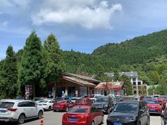 -武陵山森林公园