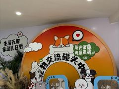-凯德MALL(望京店)