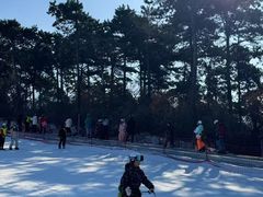 -棋盘山冰雪大世界