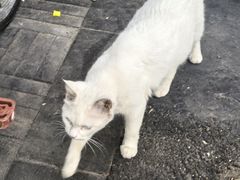 -宫门口馒头铺(创始人总店)