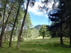 -硗碛藏寨·神木垒景区