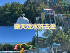 -青年湖公园水上世界