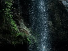 -龙苍沟森林公园
