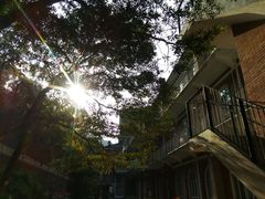 -香港大学