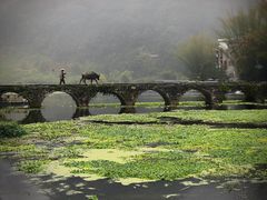 -靖西鹅泉风景区