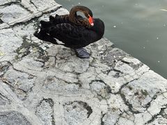 -中国农业博物馆