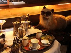 -杂咖zacup(领展中心城店)