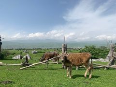 -新疆那拉提国家旅游度假区