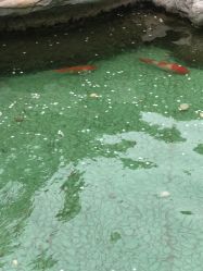 -琅悦月子会所(香格里拉旗舰店)