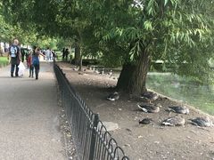 -海德公园