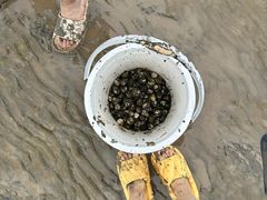 -启东黄金海滩景区