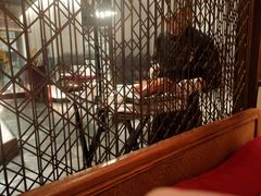 -京华烟云·北京烤鸭(领展购物广场·中关村店)