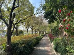 -新江湾城公园