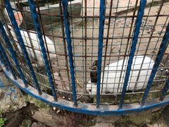 -上海滴水湖皇冠假日酒店