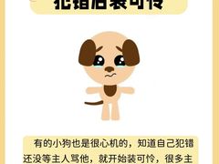 -美联众合动物医院·24h转诊中心