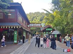 -野象谷景区