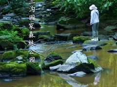 -茅兰沟国家森林公园