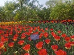 -国家植物园南园