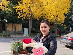 -田螺阿姨自营月嫂·育儿嫂(高新店)