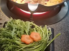 -湊湊火锅·茶憩(皇姑万象汇店)