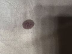 -佳雯宠物医院·皮肤科·内外科(春晓路分院)