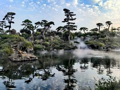 -罗红摄影艺术馆