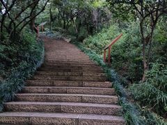 -杭州半山国家森林公园