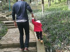 -木兰云雾山