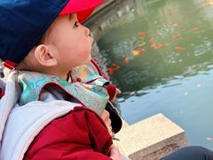 -苏州吴宫泛太平洋酒店