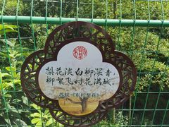 -树山生态村