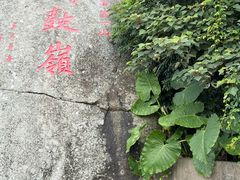 -海南铜鼓岭景区
