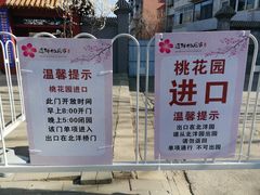 -桃花堤公园