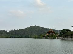 -顺峰山公园