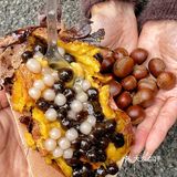 救...烤红薯新吃法也太香了🍠三件套安排