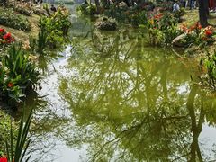 -人民公园(罗湖区)