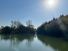 -溱湖国家湿地公园