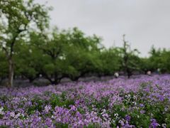 -江苏三台山国家森林公园