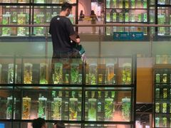 -广东中医药博物馆