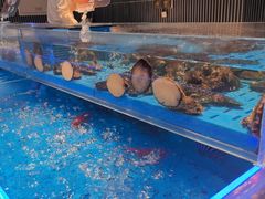 -海底捞火锅(长宁路龙之梦店)