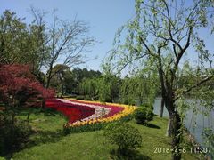 -上海鲜花港