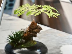 -铂诗玥医美