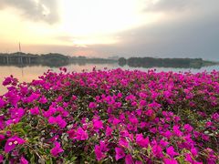 -松山湖风景区松湖烟雨