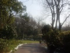 -杭州花家山庄