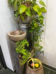 点击看大图 -阅年轻花园会所
